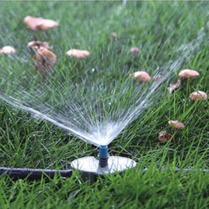 Micro Spau Irrigation Accessories